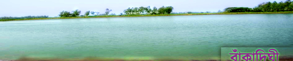 উপজেলা মাধ্যমিক শিক্ষা অফিস, কাহালু, বগুড়া