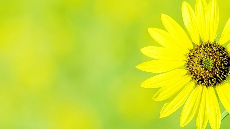 উপজেলা মাধ্যমিক শিক্ষা অফিস , মঠবাড়ীয়া, পিরোজপুর।