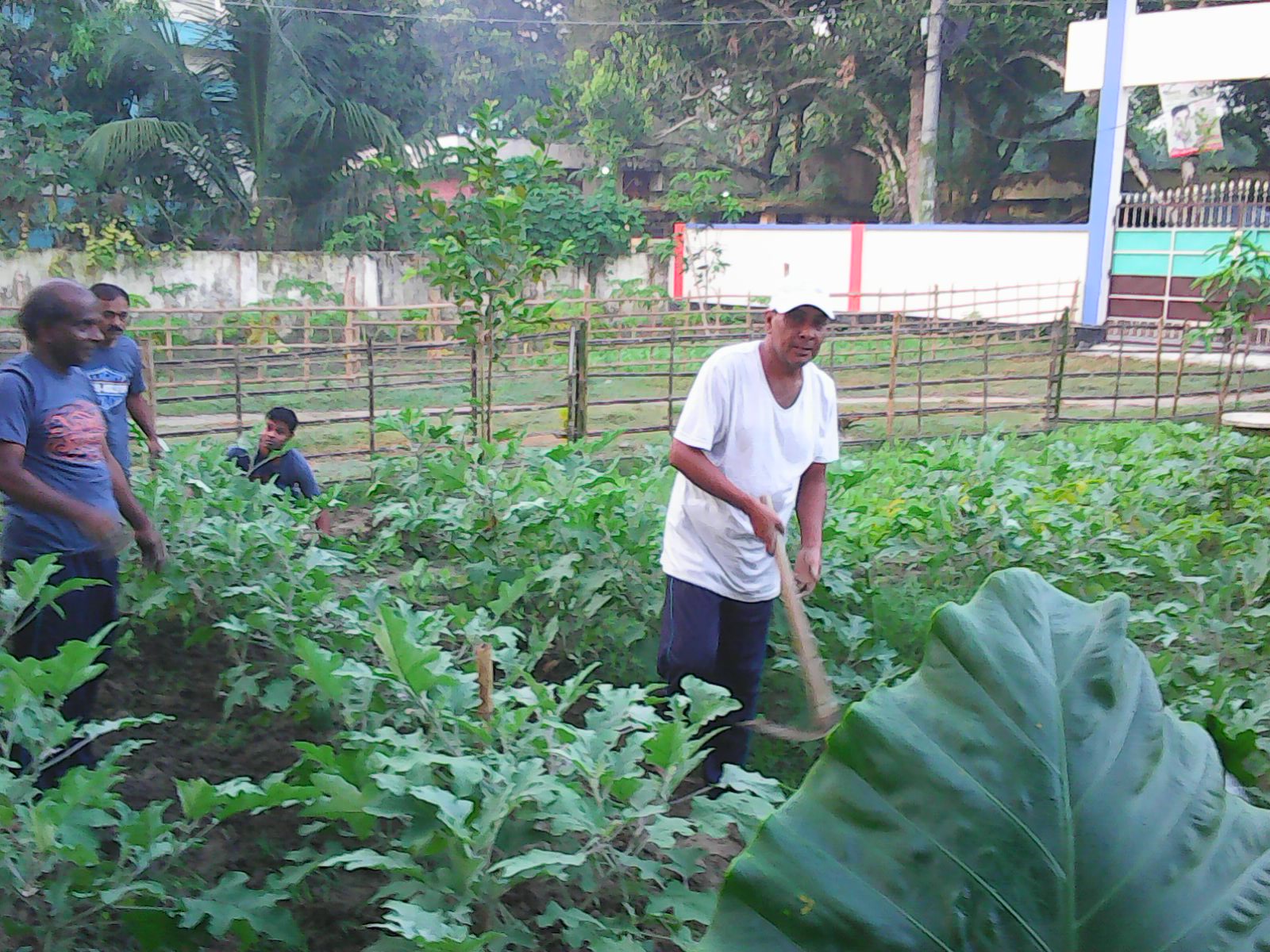 Service Process Simplification