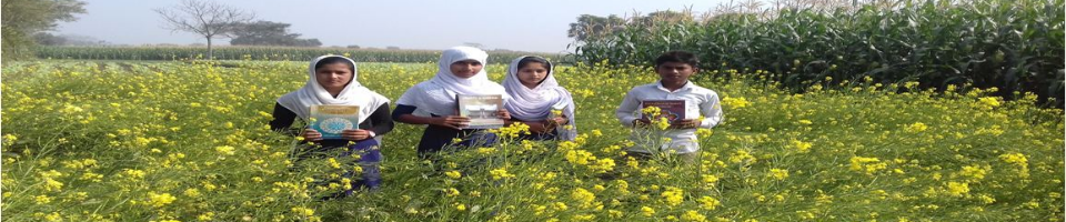 উপজেলা মাধ্যমিক শিক্ষা কার্যালয়,মহেশপুর