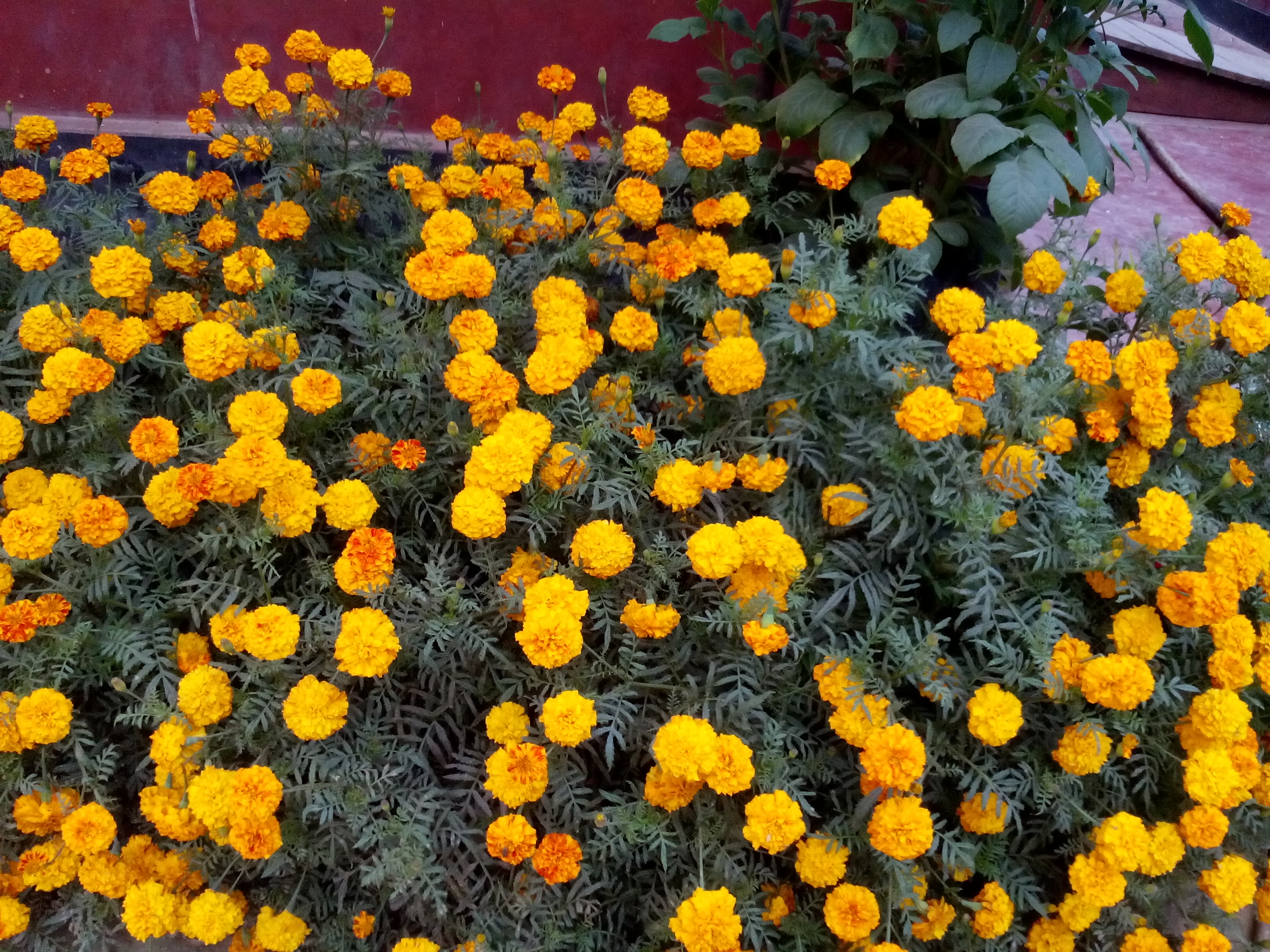 upazila secondary education office