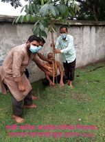 বৃক্ষ রোপন ২০২১
