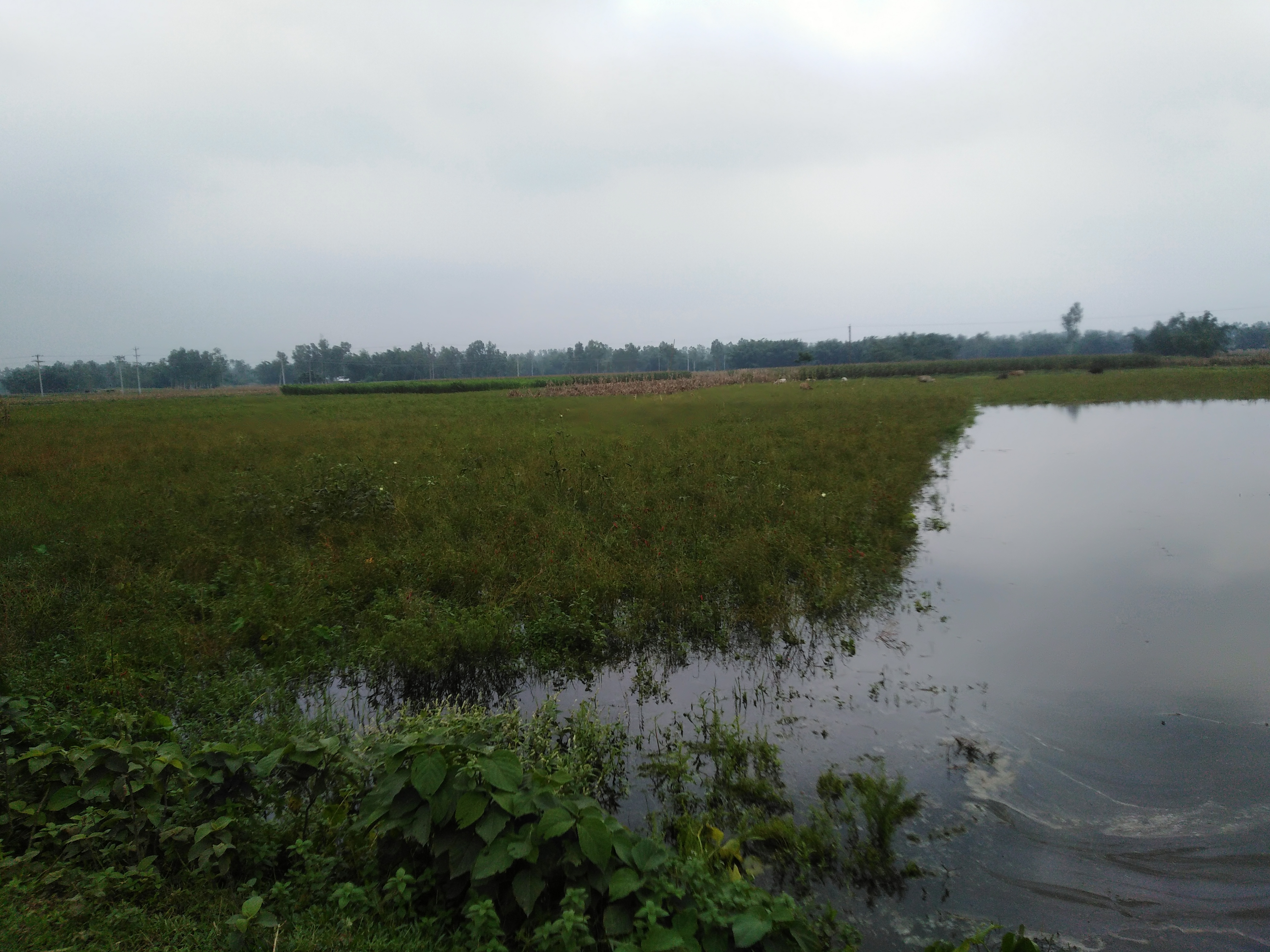  ফটোগ্যালারি