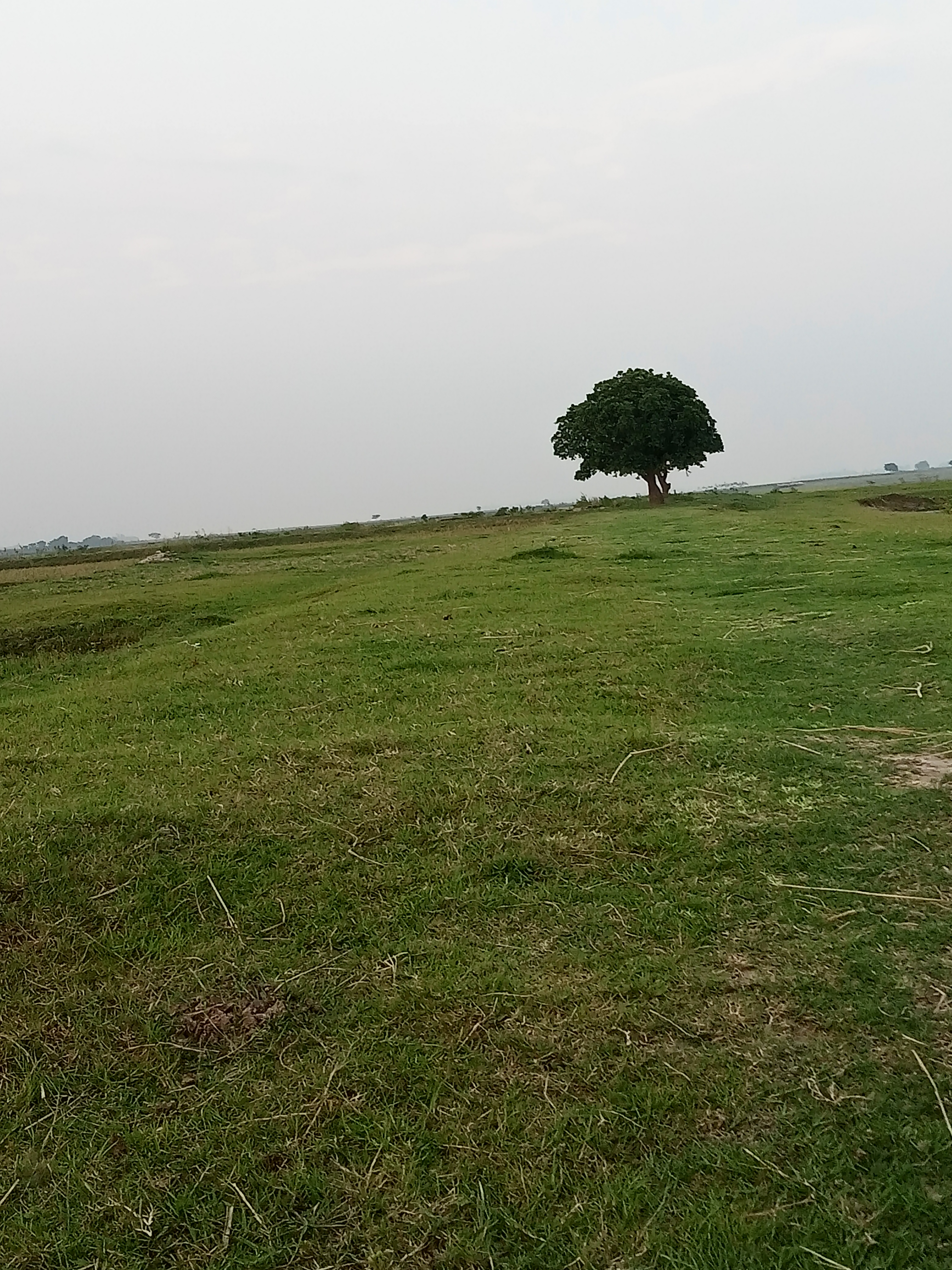 অষ্টগ্রাম হাওর