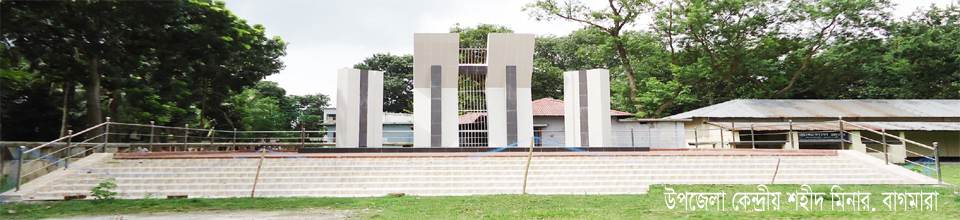 ব্যানার