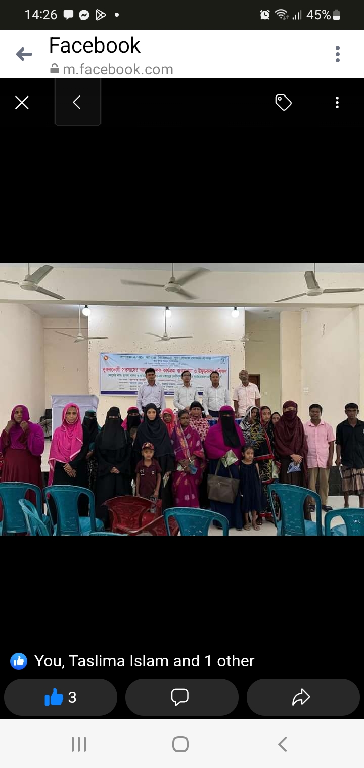 এসএফডিএফ