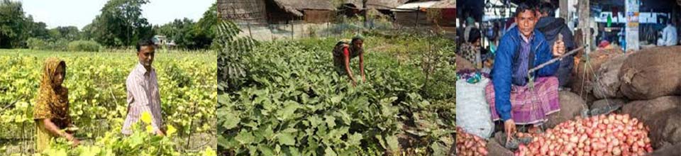 ব্যানার এসএফডিএফ