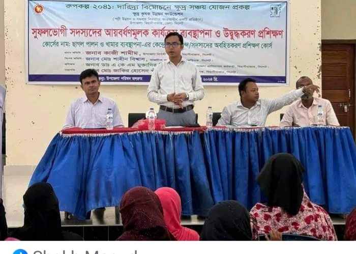 এসএফডিএফ