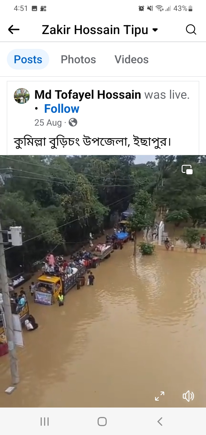 এসএফডিএফ