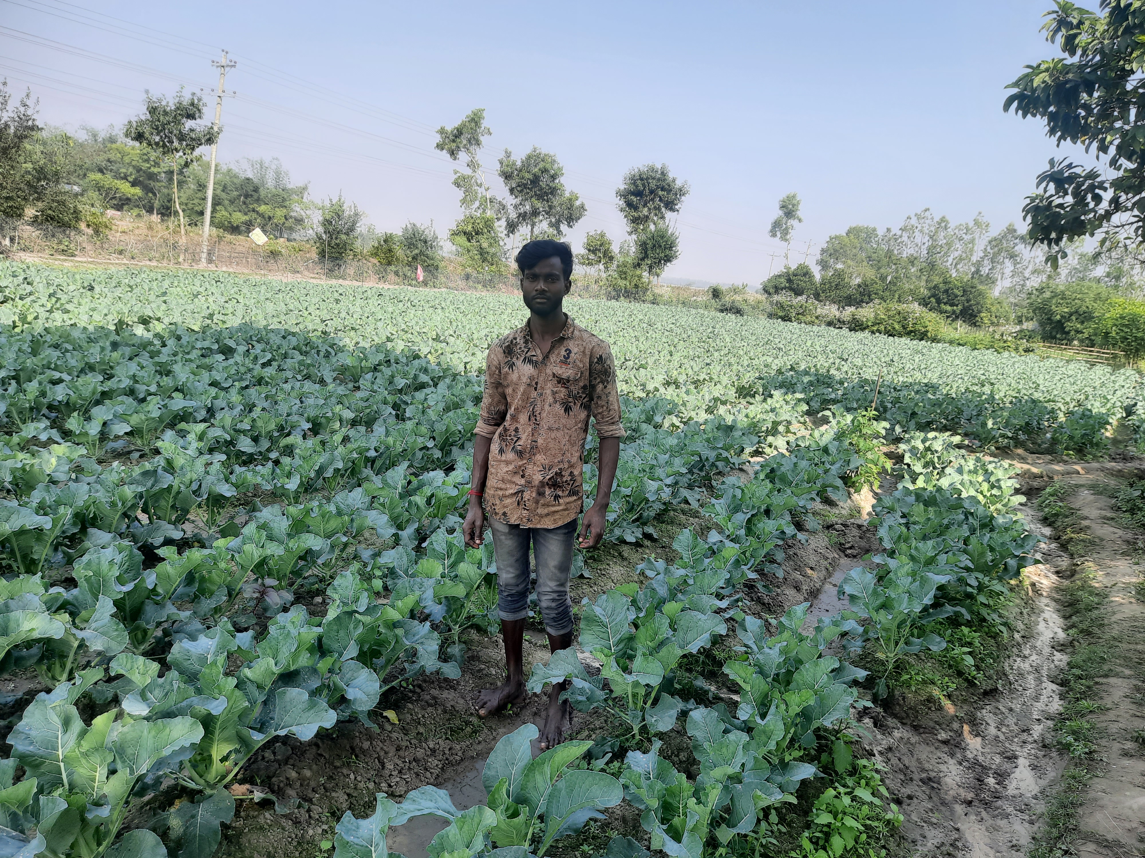 সুফল ভোগী পরিবার সবজির বাগান