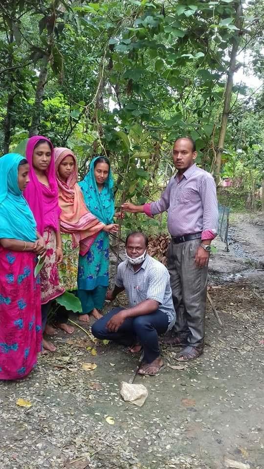 গাছ বিতরণ