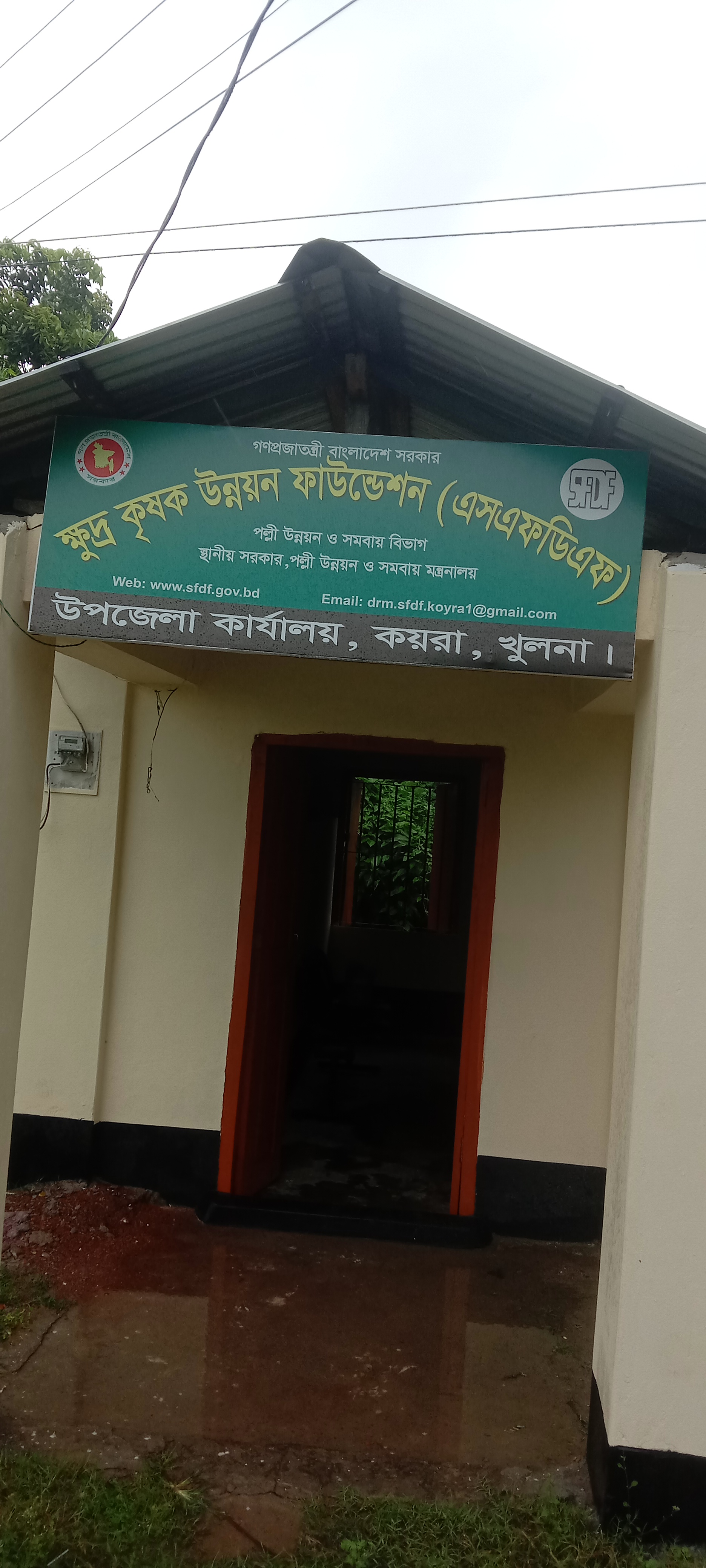 এস এফ ডি এফ