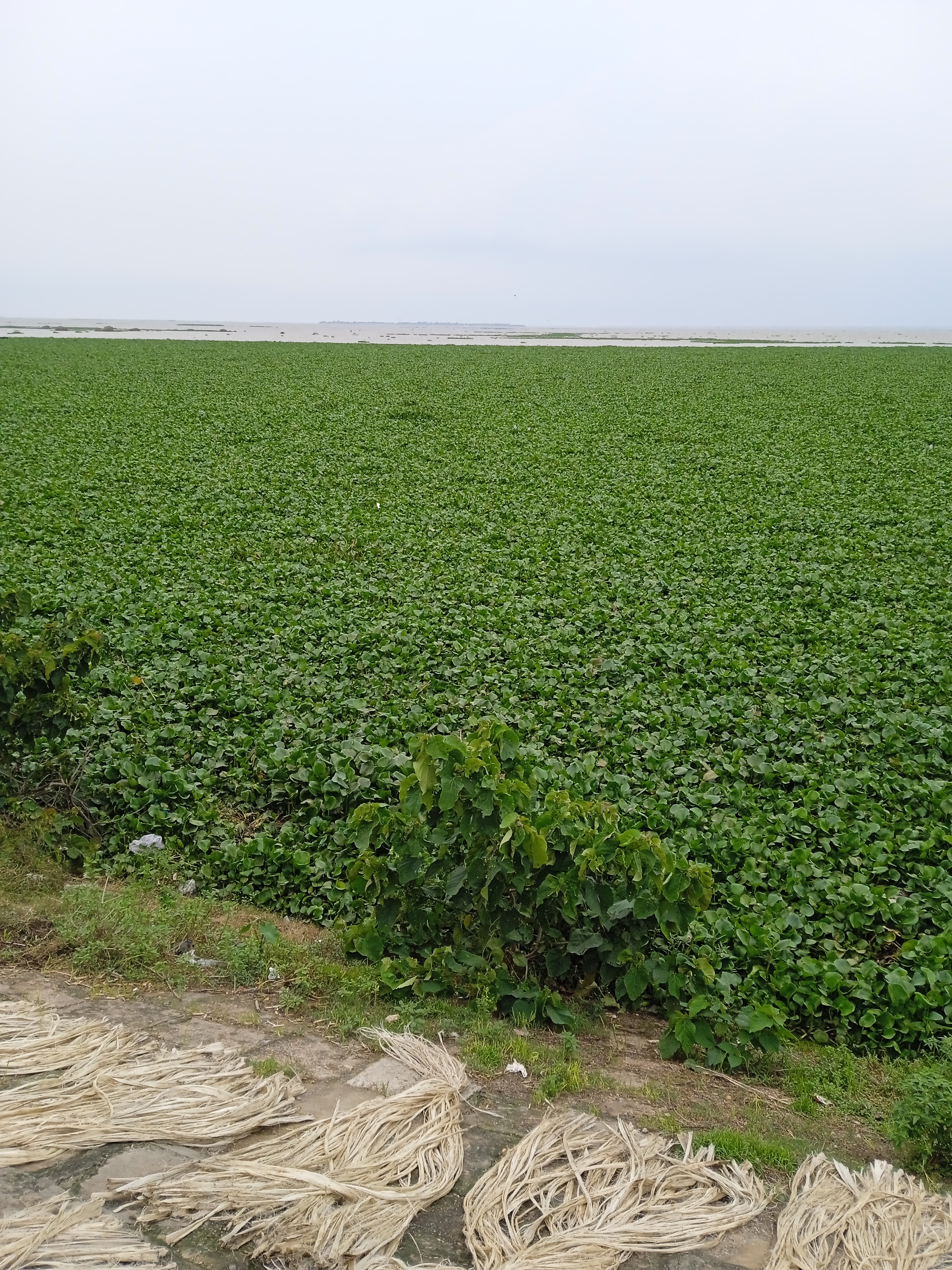 নমুনা গ্যালারি