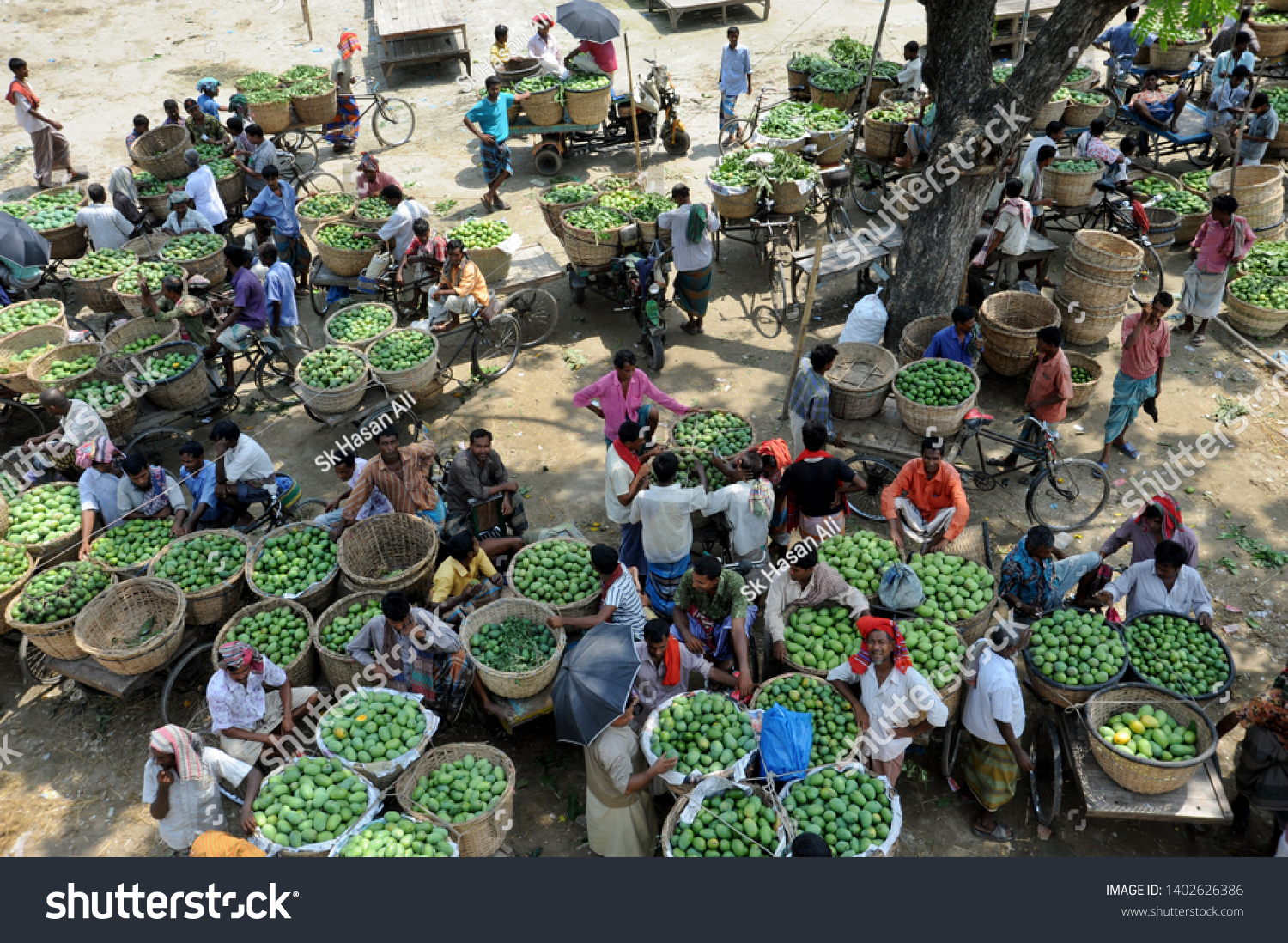 রাজশাহী আমের বাজার