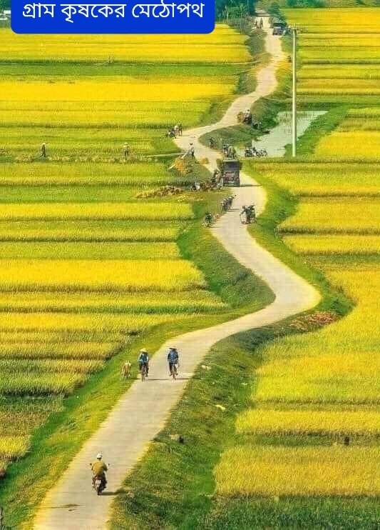 ব্যানার