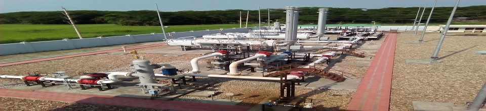 ভেড়ামারা প্লান্ট