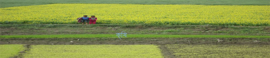 কৃষি