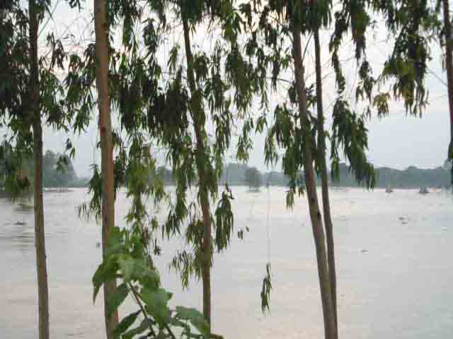 বিবিধ