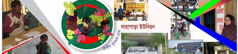 সাহাপাড়া ইউনিয়ন