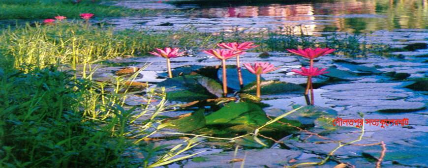 দৌলতপুর সত্যকুলের ঘাট