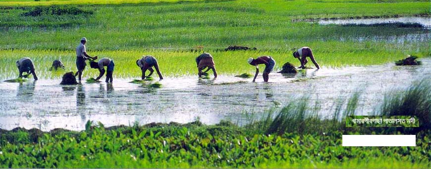 খামারপীরগাছা পাতালসত নদী