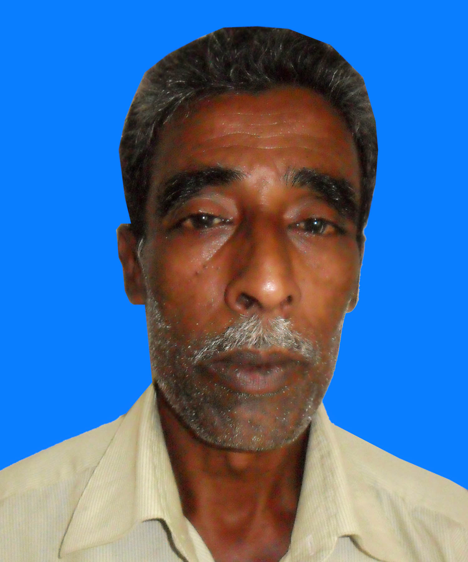 সদস্য ১নং ওয়ার্ড