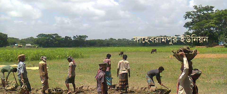 ব্যানার