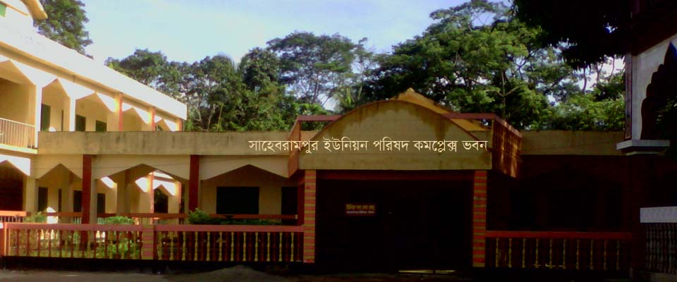 ব্যানার