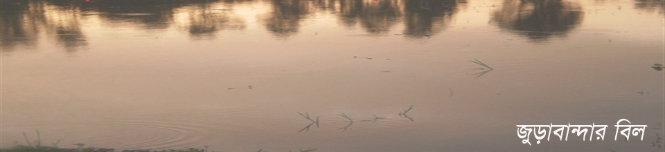 জুড়াবান্দার বিল