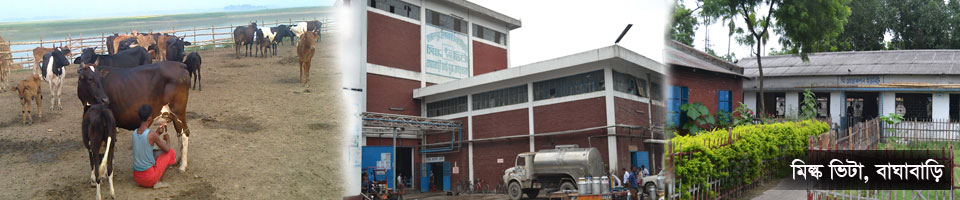 মিল্কভিটা, বাঘাবাড়ি, শাহজাদপুর