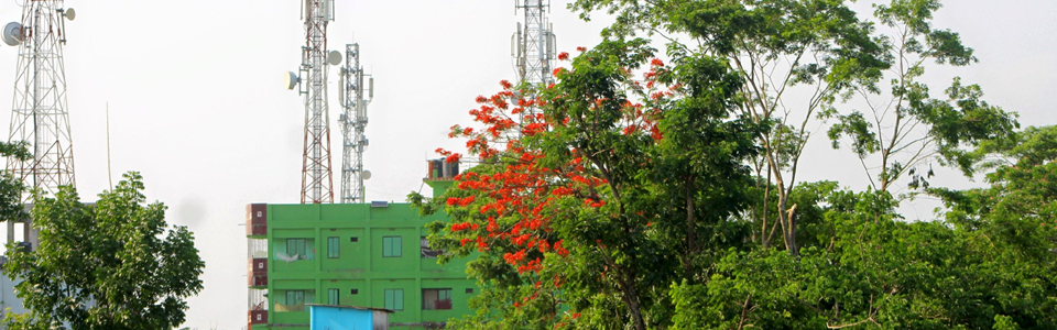 সুচিপাড়া বাজার