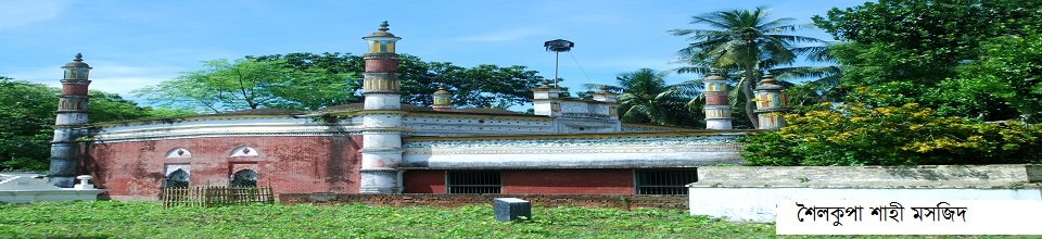 শৈলকুপা শাহী মসজিদ