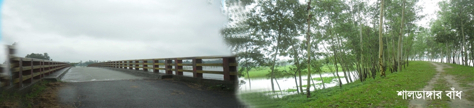 ব্যানার