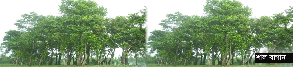 শাল বাগান