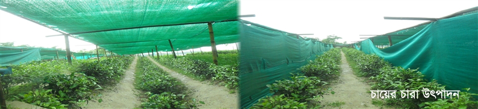 শালডাঙ্গা ইউনিয়ন