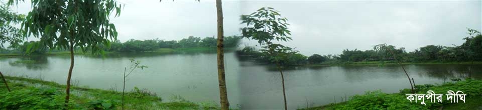 শালডাঙ্গা ইউনিয়ন
