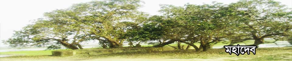 মহাদেব