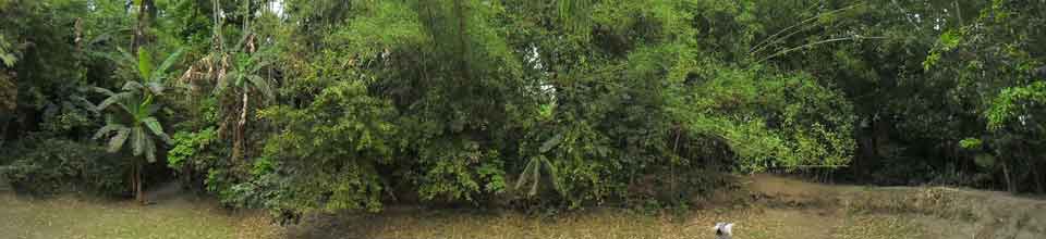 শালমারার প্রাকৃতিক দৃশ্য