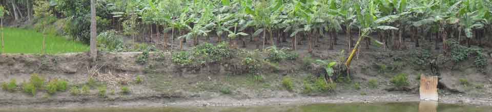 শালমারার প্রাকৃতিক দৃশ্য