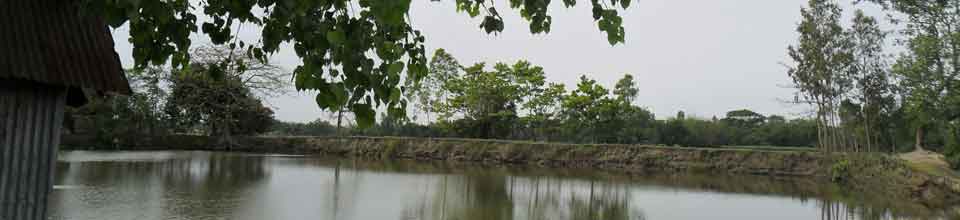 শালমারার প্রাকৃতিক দৃশ্য