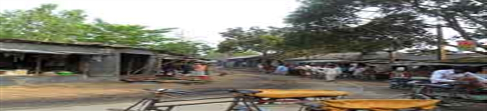 শাখাহাতী বাজার