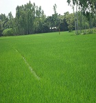 ভূমি অফিস