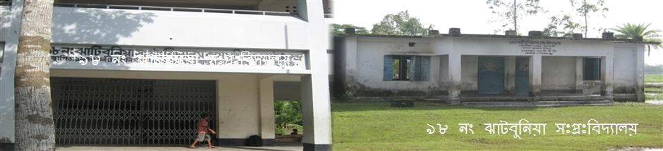 ঝাটিবুনিয়া সরকারী প্রথমিক বিদ্যালয়