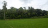 কৃষি ও প্রাণিসম্পদ