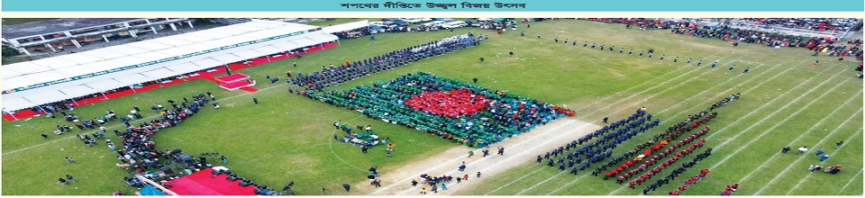 বিজয় উৎসব