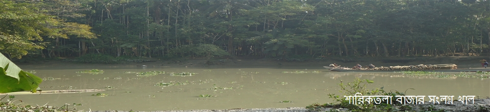 শারিকতলা বাজার সংলগ্ন খাল