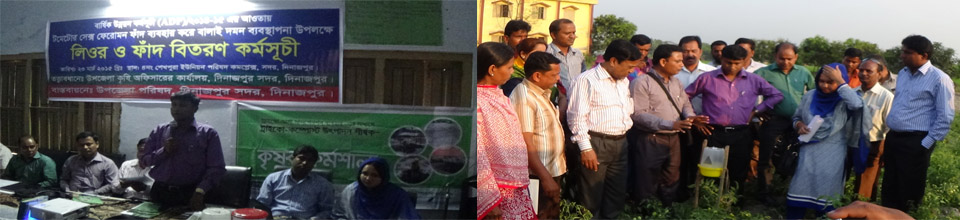 সেক্স ফেরোমন ফাদ বিতরন ও কর্মশালা