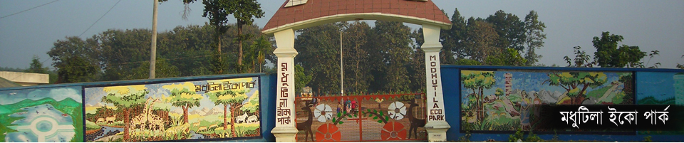 মধুটিলা ইকো পার্ক