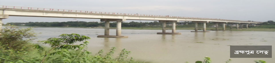 ব্রহ্মপুত্র সেতু