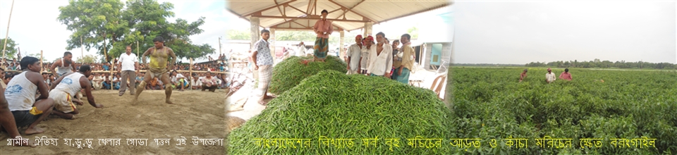 বাংলাদেশের বিখ্যাত বিন্দু কাচা মরিচের আড়ৎ বরংগাইল